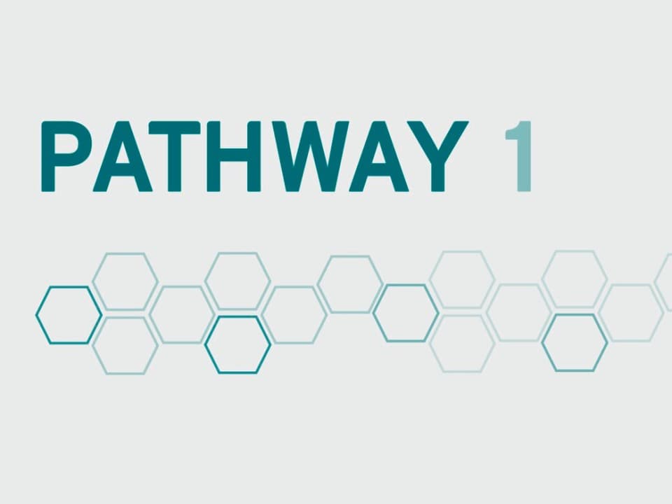 Pathway 1 banner