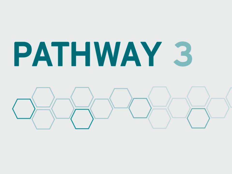 Pathway 3